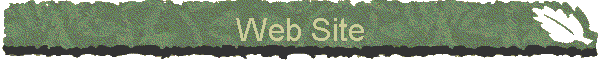 Web Site